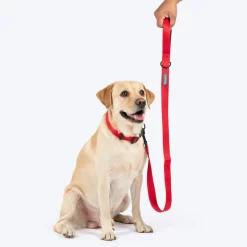 HUFT Classic Leash For Dog - Cherry Red