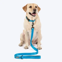 HUFT Classic Leash For Dog - Ocean Blue