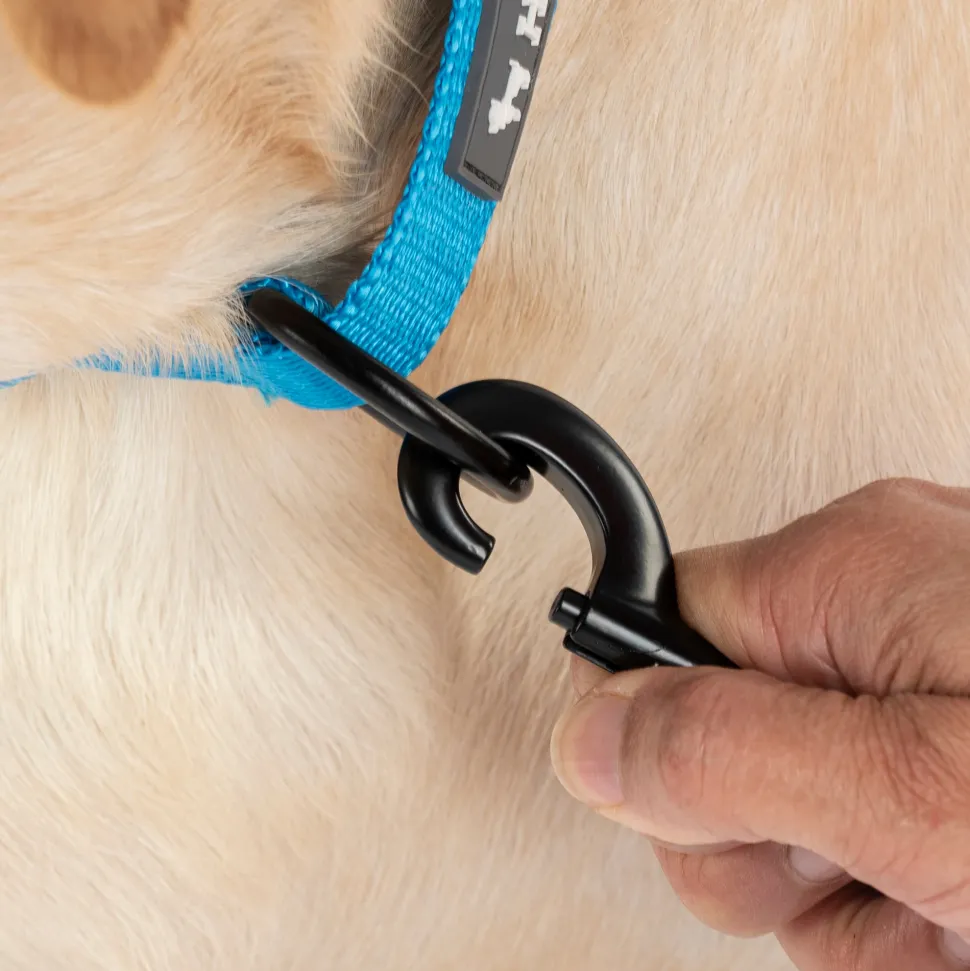 HUFT Classic Leash For Dog - Ocean Blue