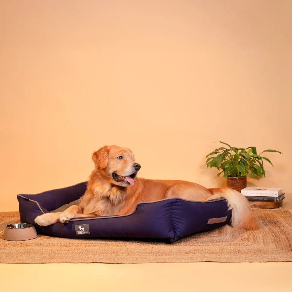 HUFT Classic Lounger Dog Bed - Grey & Navy