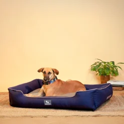 HUFT Classic Lounger Dog Bed - Grey & Navy