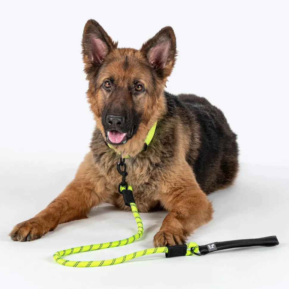 HUFT Classic Rope Leash For Dog - Neon Green - M - 5 ft
