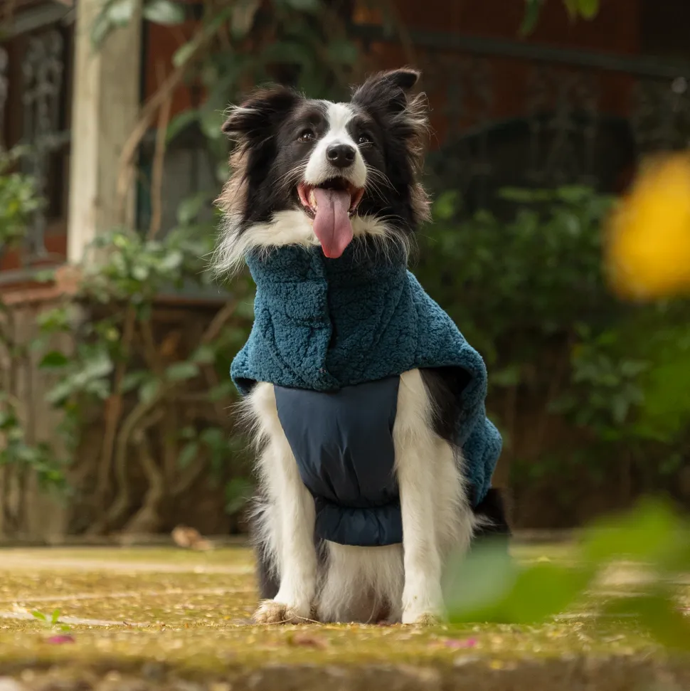 HUFT Cloudy Comfort Jacket For Big Dog - Peacock Blue