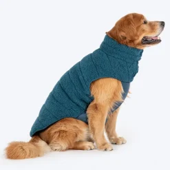 HUFT Cloudy Comfort Jacket For Big Dog - Peacock Blue