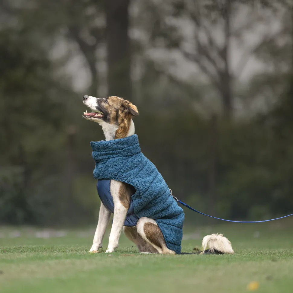 HUFT Cloudy Comfort Jacket For Big Dog - Peacock Blue