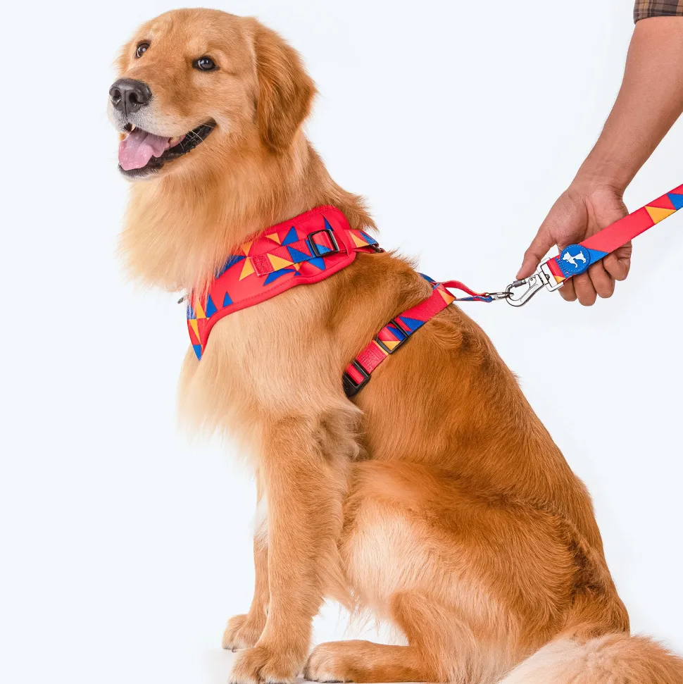 HUFT Crimson Thrill Printed Dog Leash