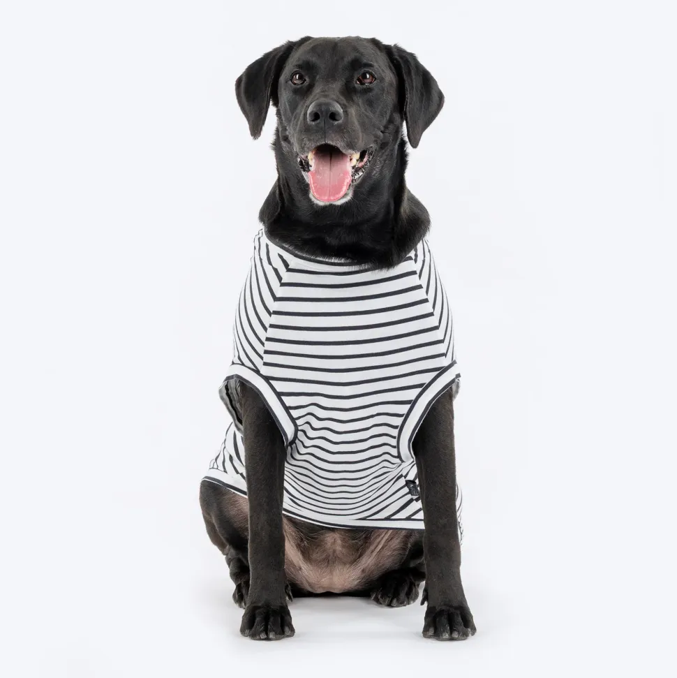 HUFT Cuddle Bug Striped T-Shirt For Dog - Black & White