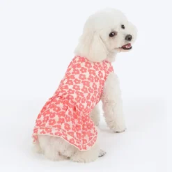 HUFT Daisy Printed Dress For Dog - Coral & White