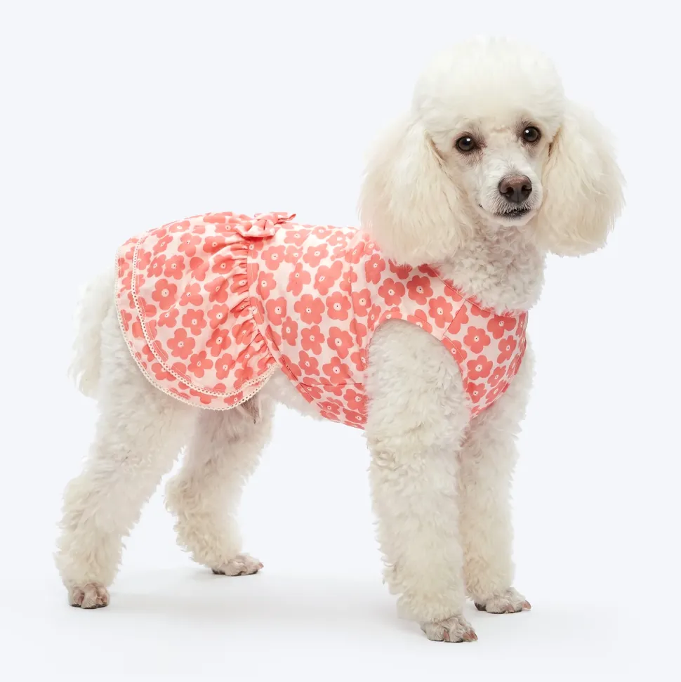 HUFT Daisy Printed Dress For Dog - Coral & White