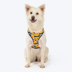 HUFT Daisy Stripes Adjustable Harness For Dog - Blue & Yellow