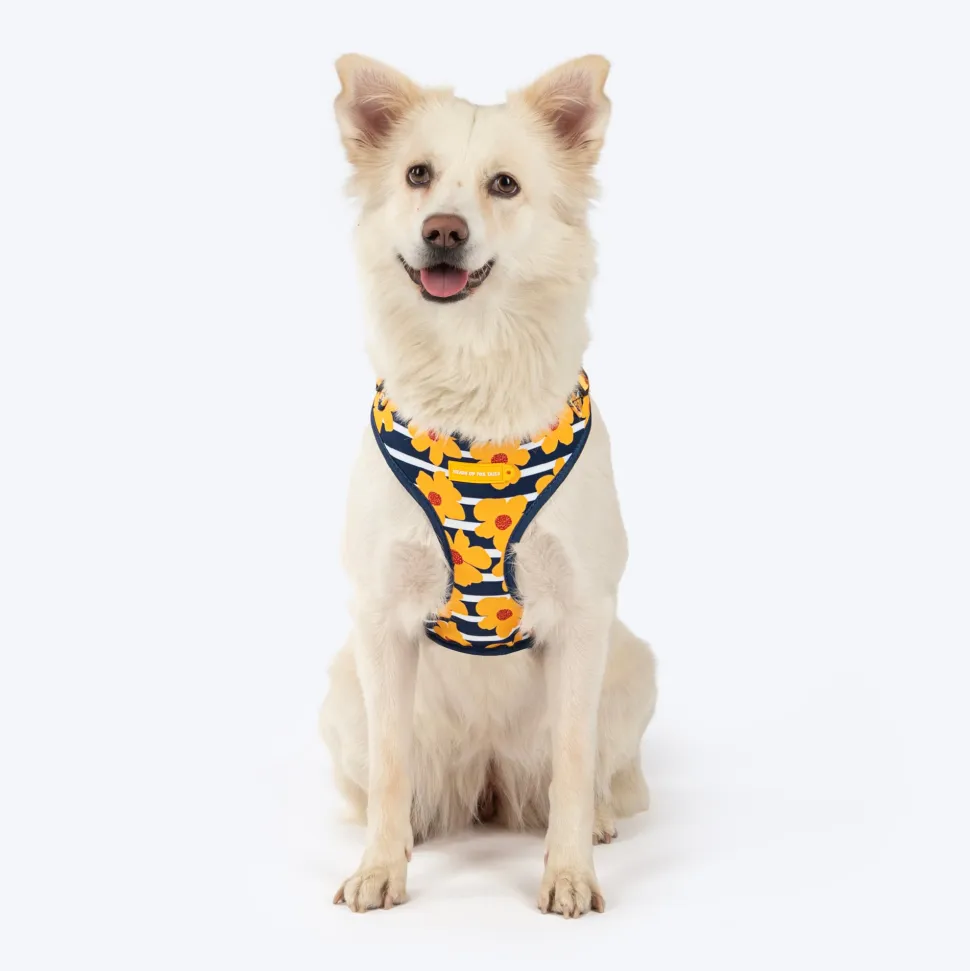HUFT Daisy Stripes Adjustable Harness For Dog - Blue & Yellow