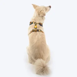 HUFT Daisy Stripes Adjustable Harness For Dog - Blue & Yellow
