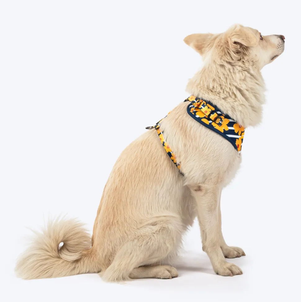 HUFT Daisy Stripes Adjustable Harness For Dog - Blue & Yellow