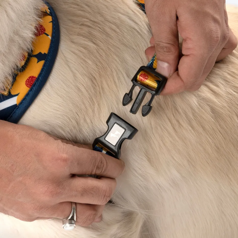 HUFT Daisy Stripes Adjustable Harness For Dog - Blue & Yellow
