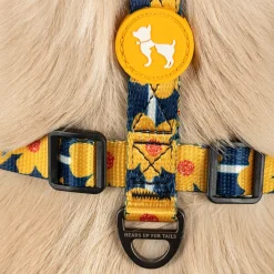 HUFT Daisy Stripes Adjustable Harness For Dog - Blue & Yellow