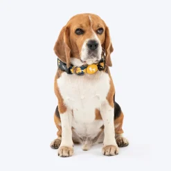 HUFT Daisy Stripes Collar For Dog - Blue & Yellow