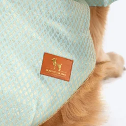 HUFT Dapper Doggo Kurta For Dog - Light Blue