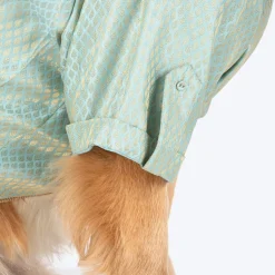 HUFT Dapper Doggo Kurta For Dog - Light Blue
