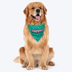HUFT Dapper Doggo Printed Dog Bandana - Green
