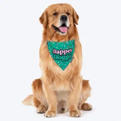 HUFT Dapper Doggo Printed Dog Bandana - Green