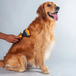 HUFT Deshedder with Rake for Dogs - Orange