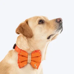 HUFT Desi Dazzle Bow Tie With Strap For Dog - Orange