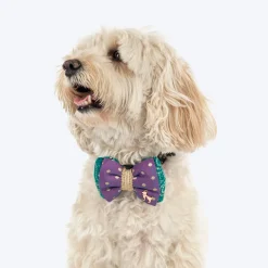 HUFT Desi Glam Bow Tie For Dog - Purple & Green