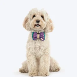 HUFT Desi Glam Bow Tie For Dog - Purple & Green