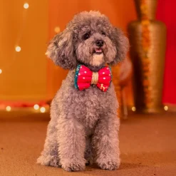 HUFT Desi Glam Bow Tie For Dog - Pink & Green