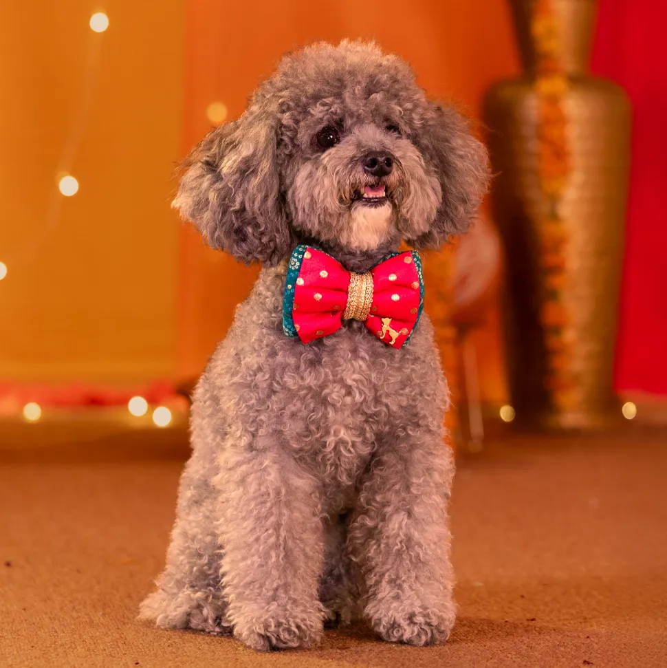 HUFT Desi Glam Bow Tie For Dog - Pink & Green