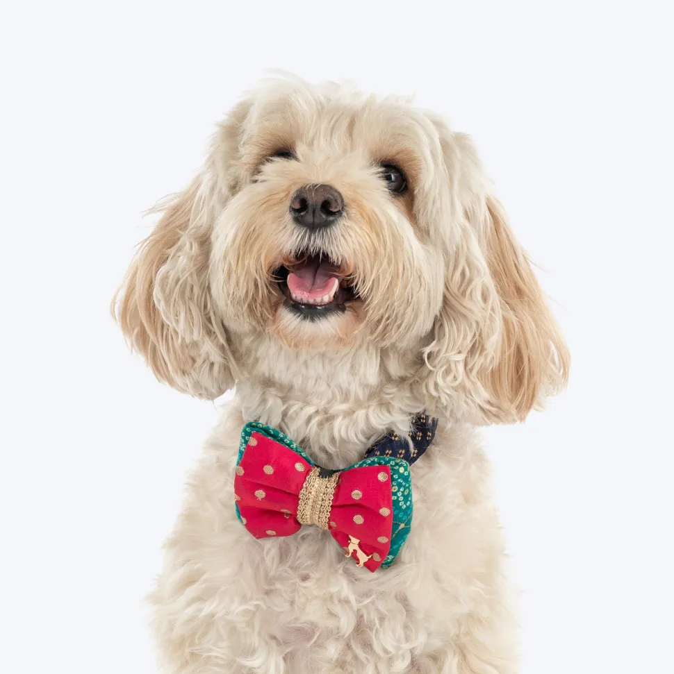HUFT Desi Glam Bow Tie For Dog - Pink & Green