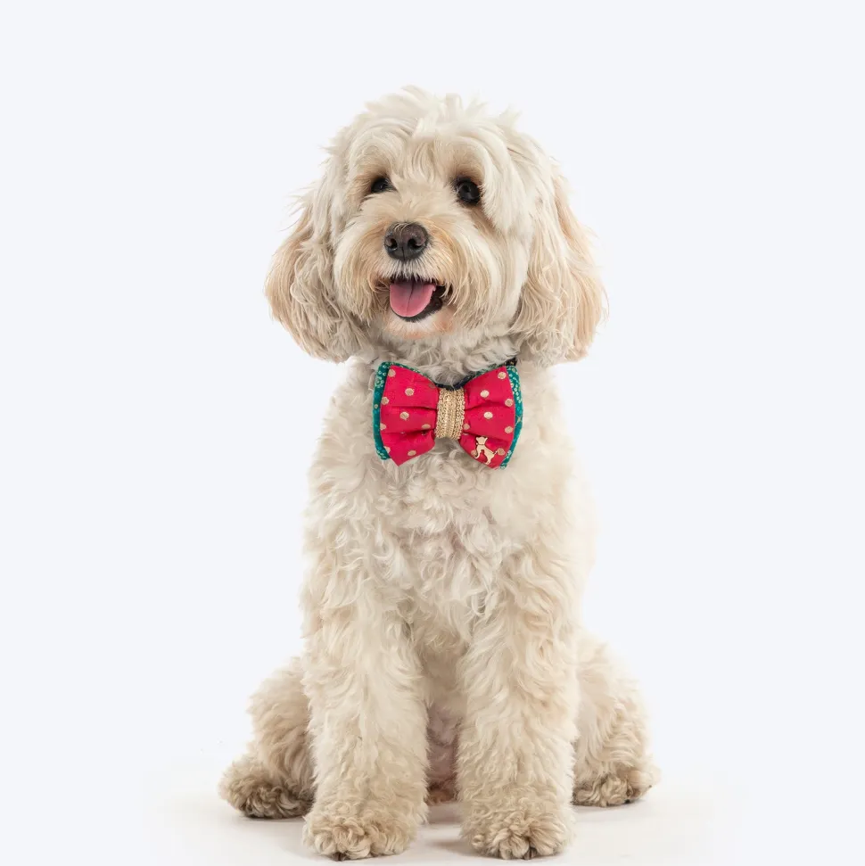 HUFT Desi Glam Bow Tie For Dog - Pink & Green