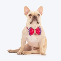 HUFT Desi Glam Bow Tie With Strap For Dog - Pink & Purple