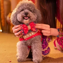 HUFT Desi Glam Bow Tie With Strap For Dog - Pink & Purple