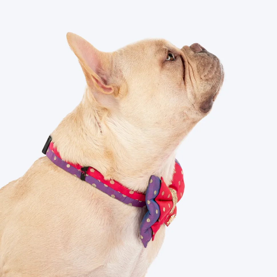 HUFT Desi Glam Bow Tie With Strap For Dog - Pink & Purple