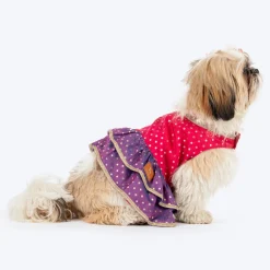 HUFT Desi Glam Dress For Dog & Cat - Pink & Purple