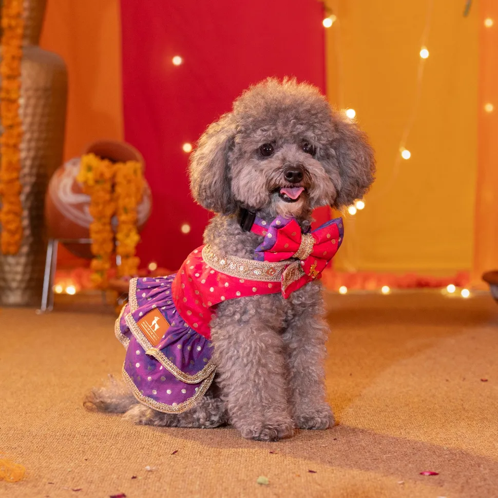 HUFT Desi Glam Dress For Dog & Cat - Pink & Purple