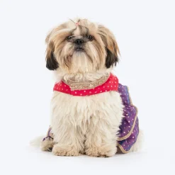 HUFT Desi Glam Dress For Dog & Cat - Pink & Purple
