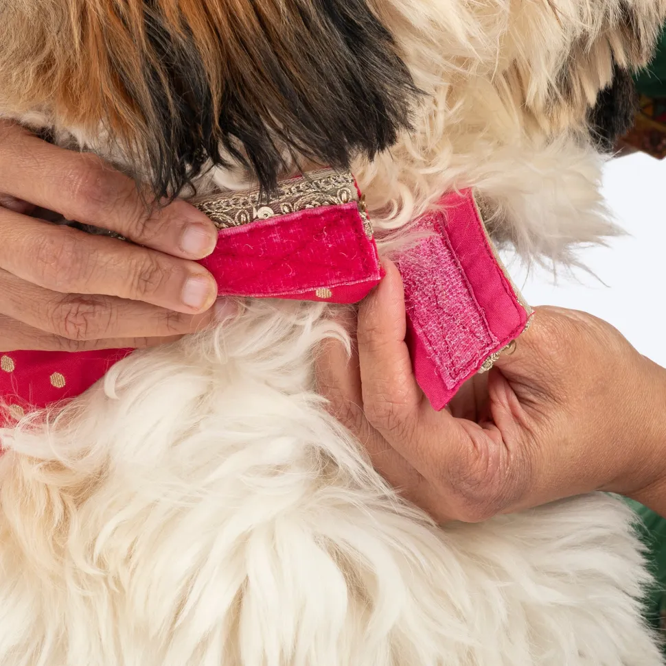 HUFT Desi Glam Dress For Dog & Cat - Pink & Purple