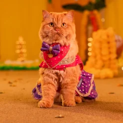 HUFT Desi Glam Dress For Dog & Cat - Pink & Purple