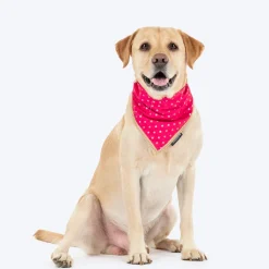 HUFT Desi Glam Knot Bandana For Dog - Pink