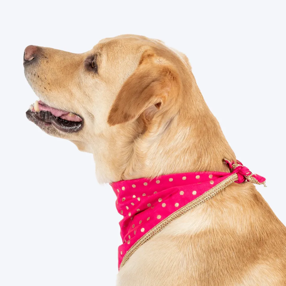HUFT Desi Glam Knot Bandana For Dog - Pink