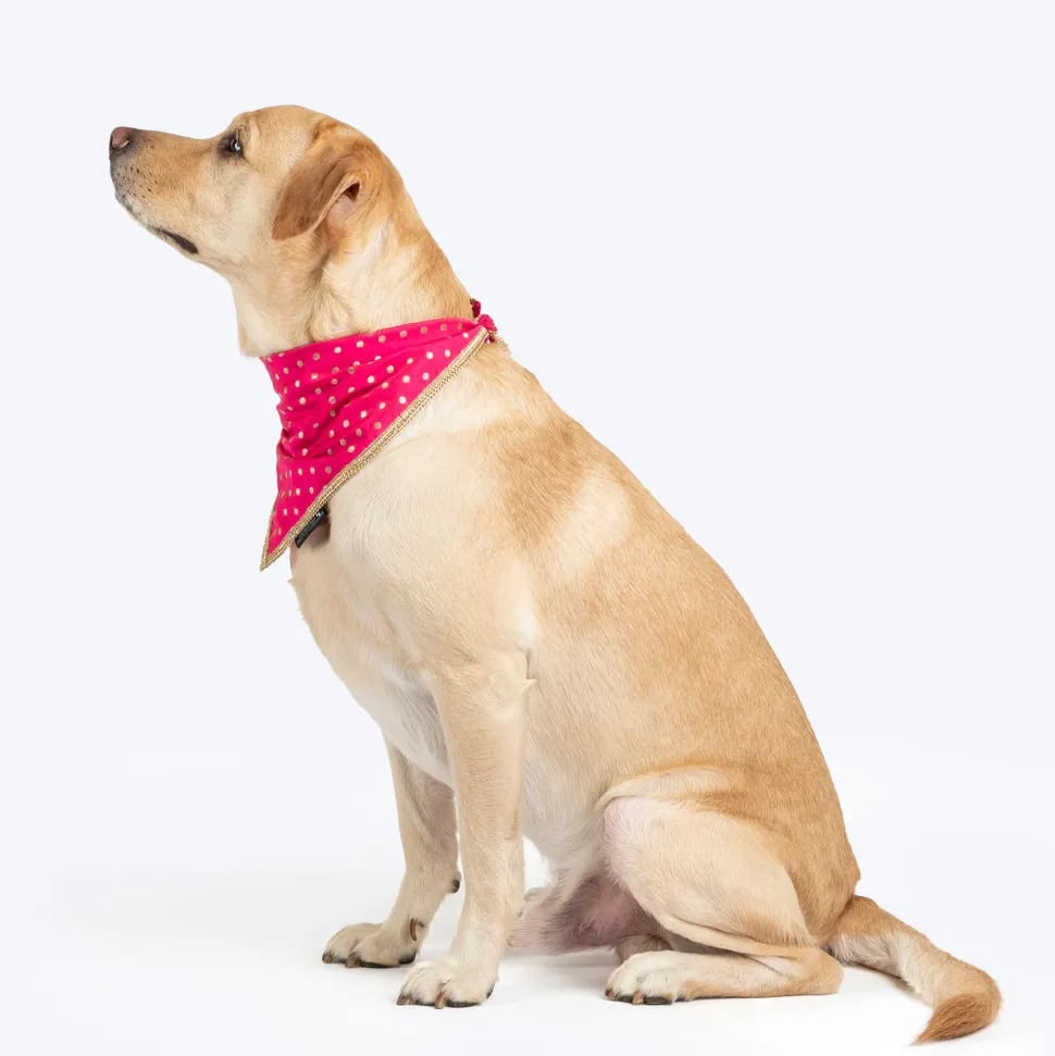HUFT Desi Glam Knot Bandana For Dog - Pink