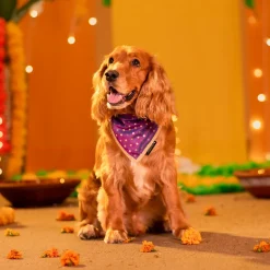 HUFT Desi Glam Knot Bandana For Dog - Purple