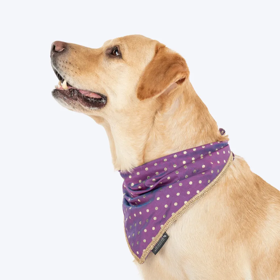 HUFT Desi Glam Knot Bandana For Dog - Purple
