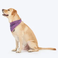 HUFT Desi Glam Knot Bandana For Dog - Purple