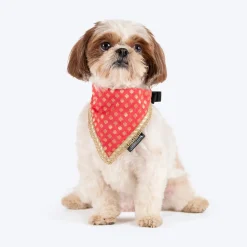 HUFT Desi Regal Bandana For Dog - Coral