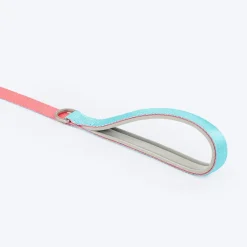 HUFT Dichromatic Leash For Dog - Pink & Turquoise