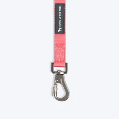 HUFT Dichromatic Leash For Dog - Pink & Turquoise