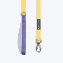 HUFT Dichromatic Leash For Dog - Yellow & Purple